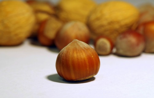 walnut-1776468_1280